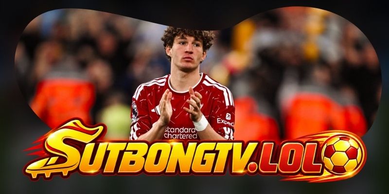 Gợi ý chốt kèo tổng hợp trận Brentford vs Liverpool ngày 17/10